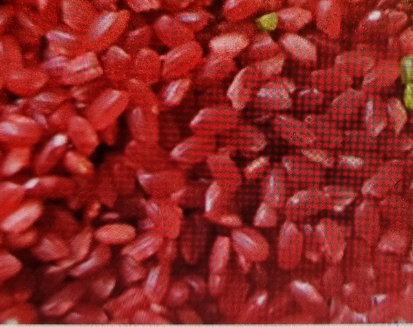 1000018587.jpg